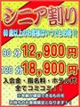 シニア割り