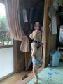 やさぐれさん
