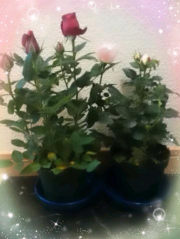 9e79c26f5e30cb7364c52590dbfcbca4