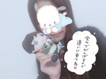 98c3c040e6644d380cbcbaa44b47fb8a