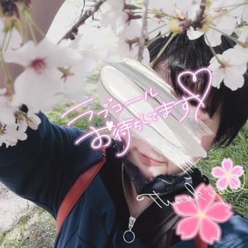 8f7b7ccd5d8b761a2cce6e79550ccfda