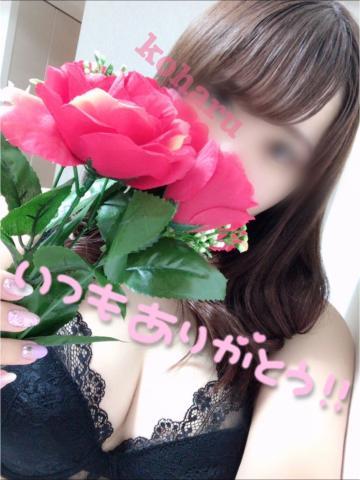 68f3690e449c4f7b6da9c2c73cc18d21