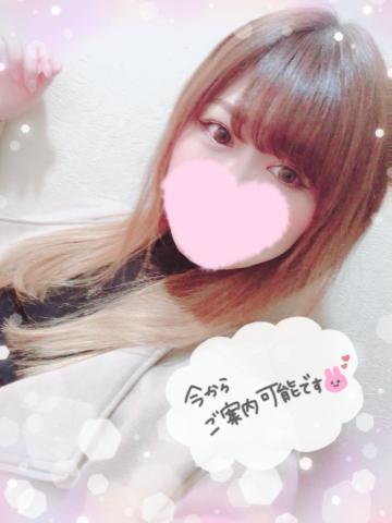 81f75e43f2fff7eeb5bd40ac698ccbd3