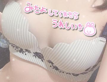 2f3e68cb4f36be8e1690c46fed62d863