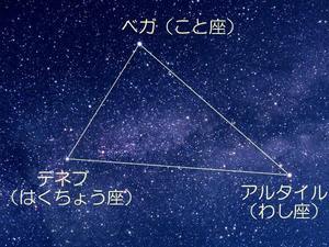 2e8ec20a11d288ca7bfb72076c231d11