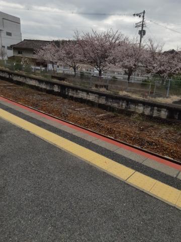 Cf43b024baeda8ca415258dc02f63158