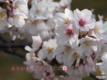 A7dce359a9078e21633dbf50cdabc012