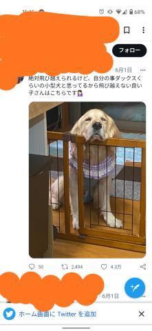 A5ebdfec2cdacbc0343303c83ac1eb8a