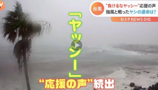 59dd6f5454eb3c8f58d187dc68c011ff