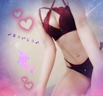 2b582a8433218c546056effe229d77d2