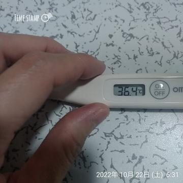 876d740df748e2544cd79115b0f49c29