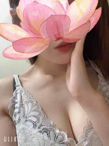 D4571e97598ab86f42941eb0e37bb7ef