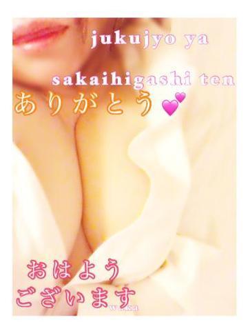 8d19efa158e2807ab8068309715fb5e0