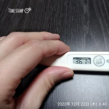 Fe87b3accdca8a98355c97a54ef67c5d