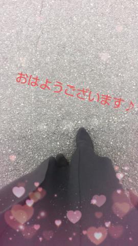 559bf8a1a6551eb10303306dfd1b90f3