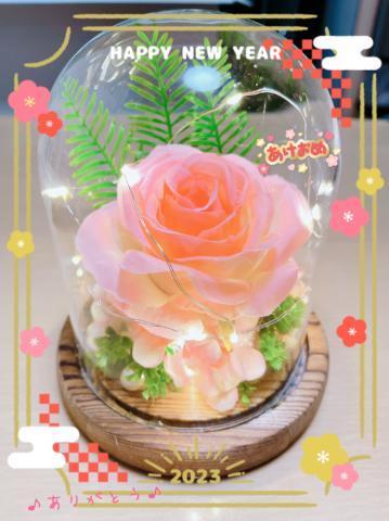 846dac35aa953597f8d405c8c350b3cd