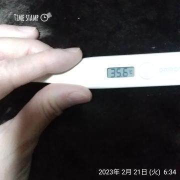 E37e5fd3a017ff2f143ca3d34ad8d19b