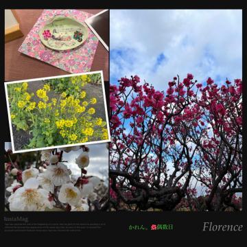 Ddd66cb685000280d885fbb88bf218b2