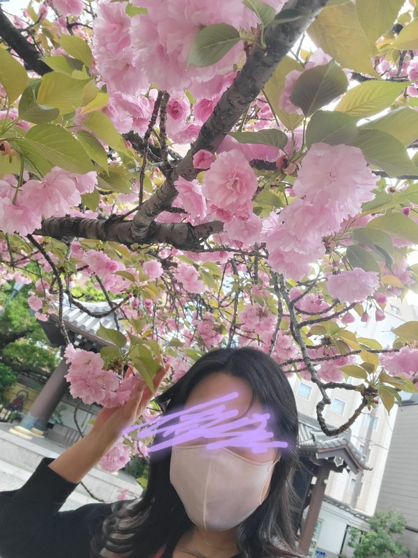 Aa628b7c37127ae71f8bdbb7146ed45b