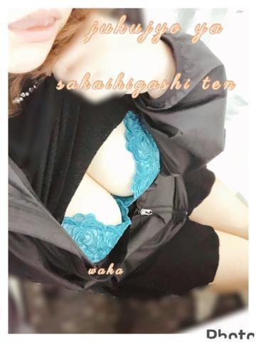 4e85ef544a0dbb5b68c0a8fff2b52e9a