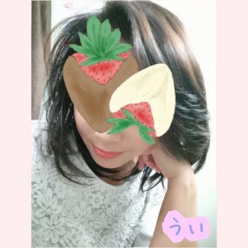 D7d642559b5ccdd32ffae1b8d09cd249