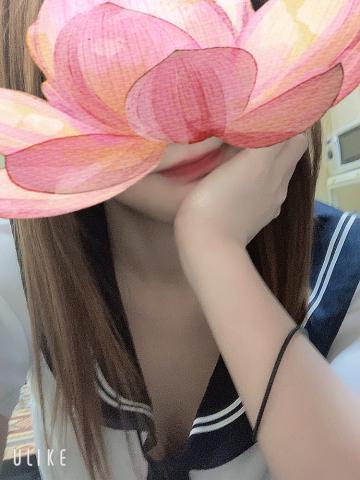 50ecd3aaba4a2f99f78cadee99bcf61c