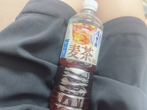 28bf29f7e577c7d2cf814fa1f8a8ccae