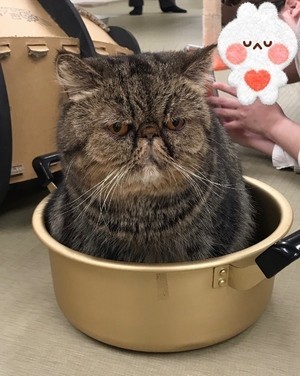 5aacd4e690147e991d79fd0e0660ae70