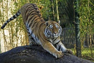 Fe80c0e98c63ad3dbed53dbddfa13b13
