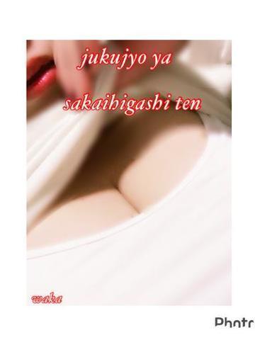 8b9116223ea1bce74c929f2f2ea08de6