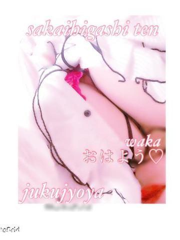5183f715dc3fbbfba407dc1c6bd39e3d