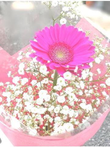 F6751a16a0cca76f86e4fc2c5bfe2e29