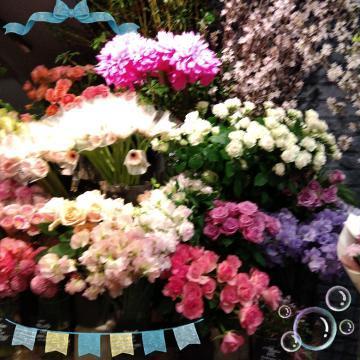 Afef8d78d537123c3a20e03ea9a83d7e
