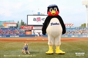 Dee7a9328ed004f3c90d58f3bfb88d47