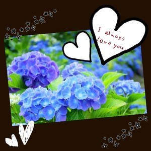 11fb613c3b60beee5f8ed0d7c29e7b7b