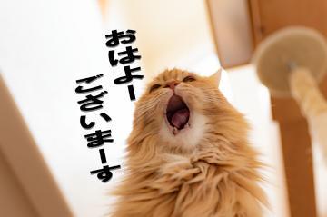 Fb12b00f3261b2c185d46c77dab7ebd3