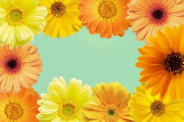 72f0aa80180d10fb8f5d6aaa77d04257