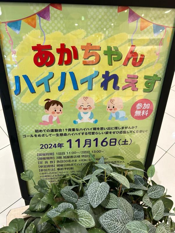 Cd344c37f802b17c981d33c1e4d66ccf