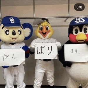 2c7f2ff65a4b22d9f53e48bfe3314fdc