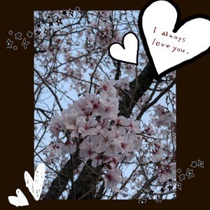 702d60d4b6e7a18ea7cd9a6dbdb4e24b