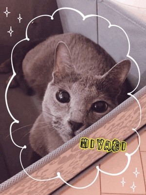 Abe5d4048d7eb79833a0dbc38c8ce92b