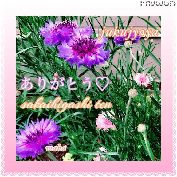 7c833bd581fe3e244deaa98aa43dfdcc