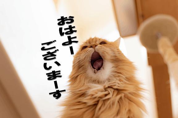 F2e86e6a3150bf245f7f9c3d94ccc88a