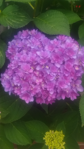 6506db9ab285ac939ee73bc6a363ce0f