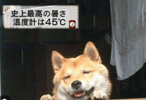 A4f7dbf8780091f850ea25d4b3368b98