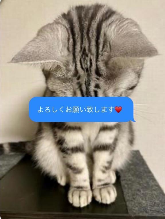35cc298e7b62323a9ab8ee18cda01b50