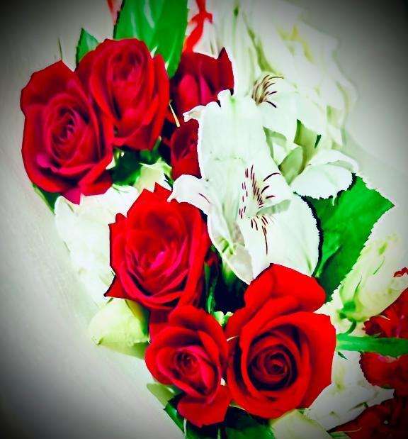 E516fb51aa483d9e8d4a8163beb83a29