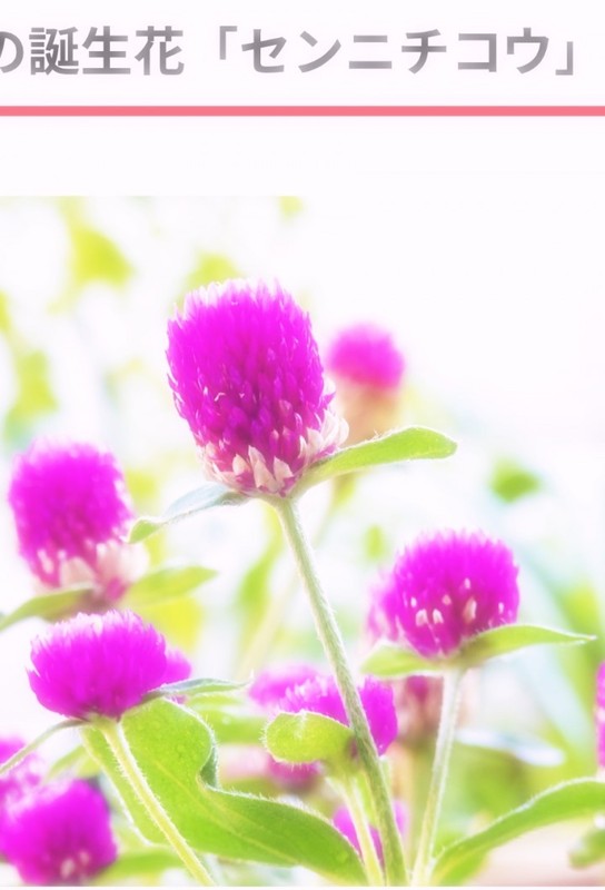 Aa59f81fdcadbe4c9ca85a4d7aab84db