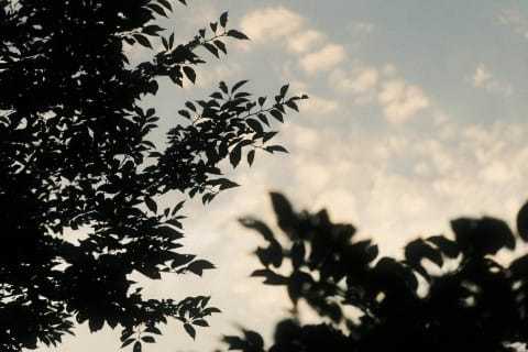 5299d419302ebdde844a800cd5ea2dd1
