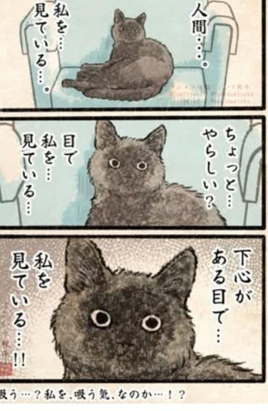 5cc0f7e2ca5077044df81bac7e02dd53